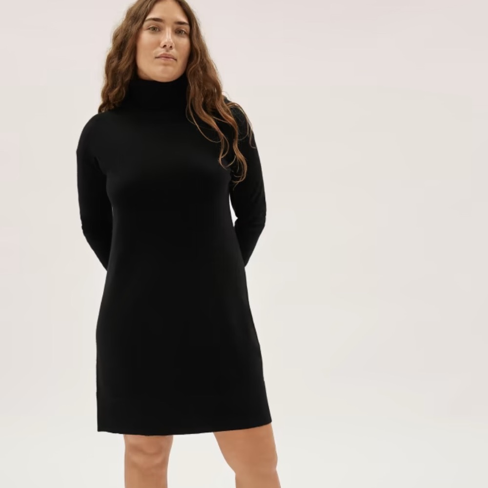 Everlane The Cashmere Turtleneck Dress